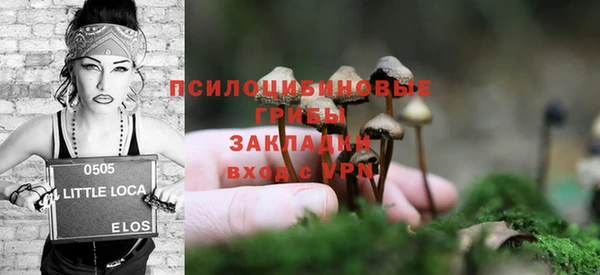 стафф Осинники