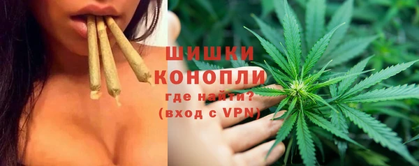 стафф Осинники