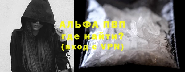 стафф Осинники