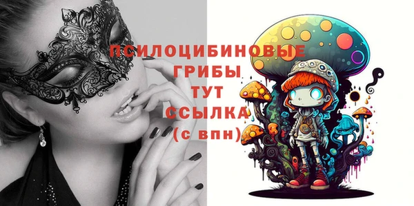 твердый Нягань
