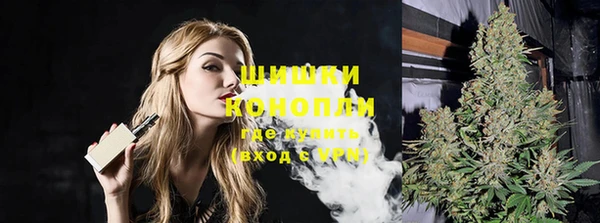 спиды Няндома