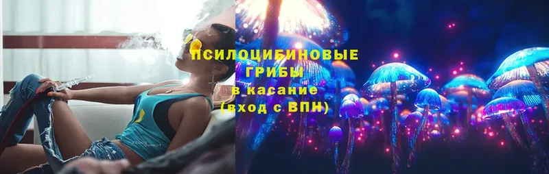 Псилоцибиновые грибы Magic Shrooms  Знаменск 