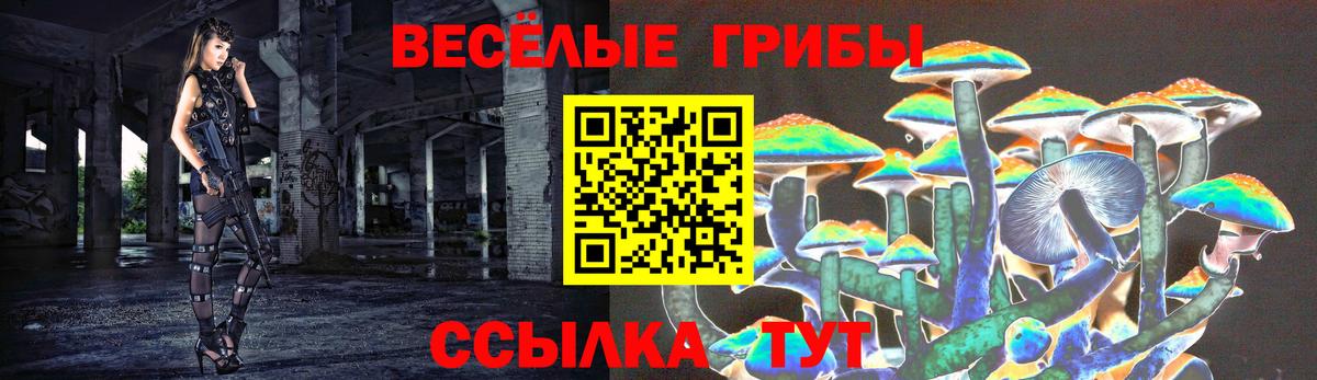 Псилоцибиновые грибы MAGIC MUSHROOMS Знаменск