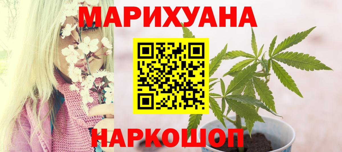 Канабис план  Канабис гибрид  Бошки марихуана ГИДРОПОН  МАРИХУАНА Bruce Banner  Знаменск  Вход с VPN 
